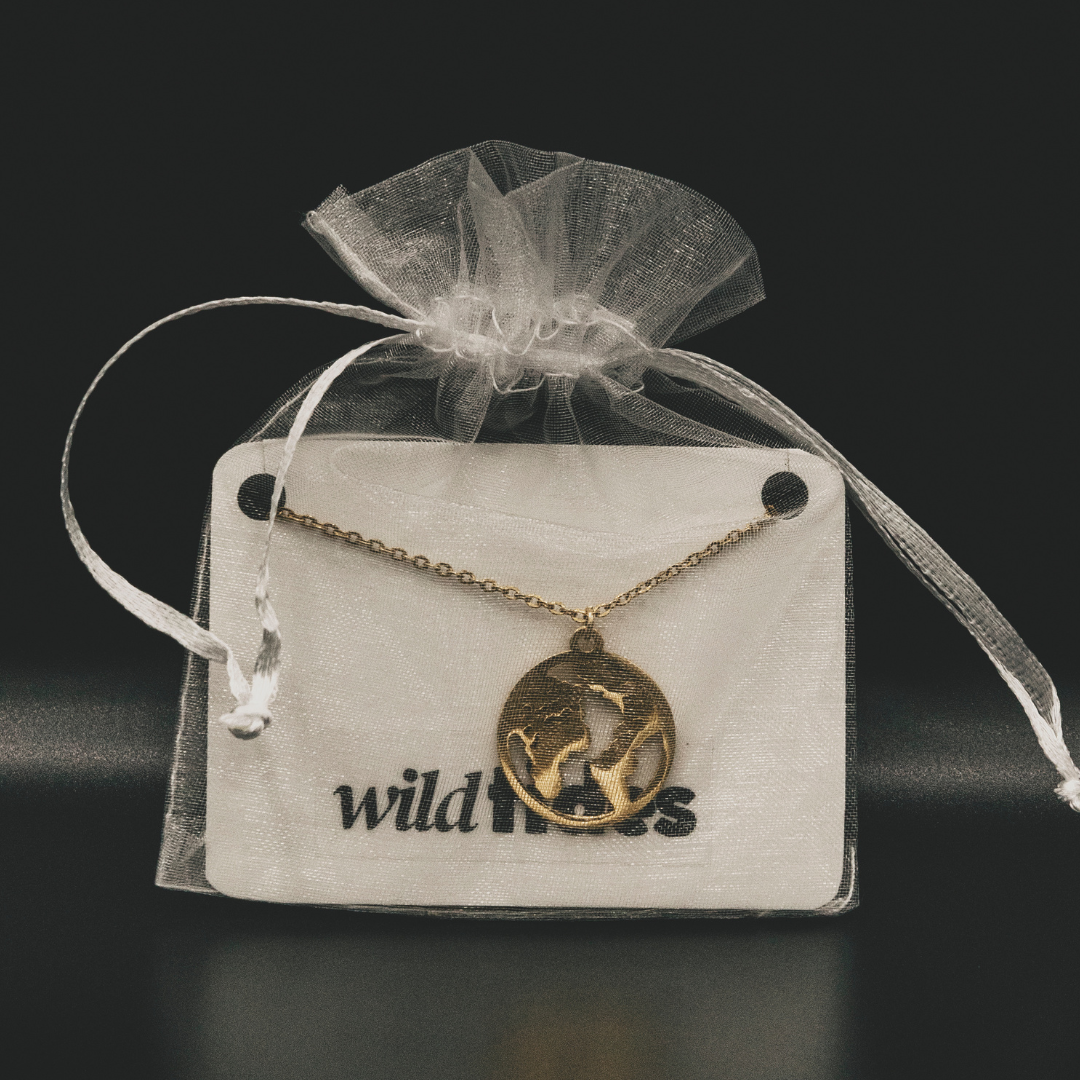 18k vergoldete Weltkugel-Halskette – für Damen | Wild Tides