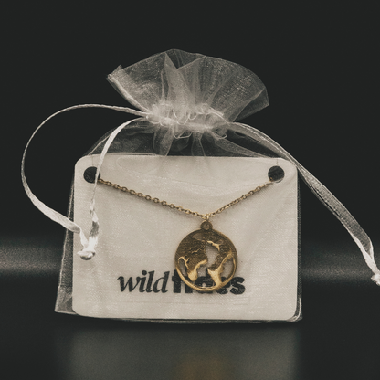 18k vergoldete Weltkugel-Halskette – für Damen | Wild Tides